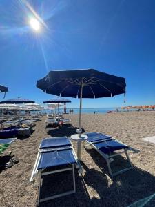 eine Gruppe von Stühlen und Sonnenschirmen am Strand in der Unterkunft TRILO COPPO CON SPIAGGIA E POSTO AUTO in Numana