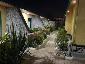 a garden with potted plants and a building at night at Randa Boutique Hotel in Kigali