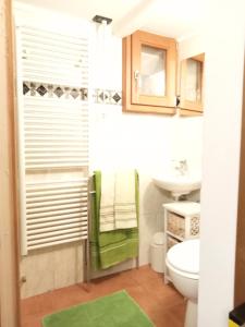 a bathroom with a toilet and a green towel at Domy CENTRAL STUDIO in Aosta