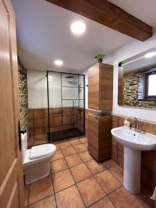 ein Bad mit einer Dusche, einem WC und einem Waschbecken in der Unterkunft A Barreira in Ferrol