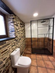 a bathroom with a toilet and a shower at A Barreira in Ferrol