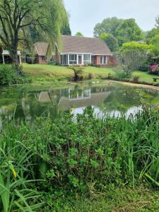 a house and a pond in front of a house at Air Lakehouse in Hilton +10 photos