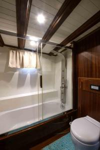 ein Bad mit einer Dusche und einem WC in der Unterkunft Silver in Palermo