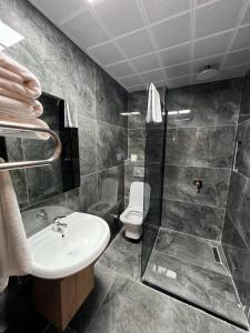 a bathroom with a sink and a shower and a toilet at Midyat GAP Hotel in Midyat