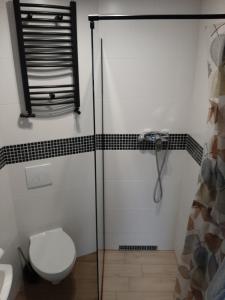 a bathroom with a toilet and a glass shower stall at Trzy Szczęścia in Szklarska Poręba