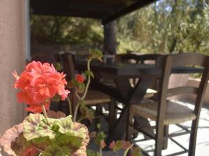 una mesa y sillas en un porche con una flor en Anemos Holiday Houses - Unterkunft in Südkreta en Keratokampos