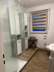 a bathroom with a glass shower and a sink at Wunderschöne Ferienwohnung mit Balkon auf dem Bauernhof in Greven