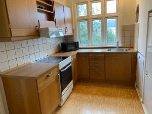 a small kitchen with wooden cabinets and a sink at Oasen Ved Centrum 1 sal. in Frederikshavn