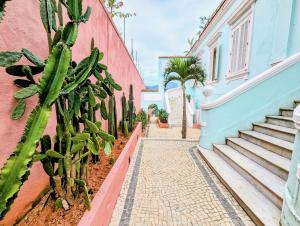 a cactus next to a pink building with stairs at SAMAMBAIA in Rio de Janeiro
