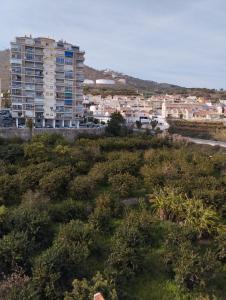 a large apartment building in the middle of a city at Room in Shared apartment with Parking in Almuñécar