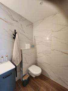 a white bathroom with a toilet and a sink at THE BEDROOM - proche aeroport Lyon, groupama stadium, ldlc arena, eurexpo, viaRhôna in Jonage +4 photos