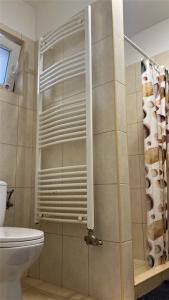 a bathroom with a toilet and a glass shower door at AqFel Airport Apartment in Vecsés