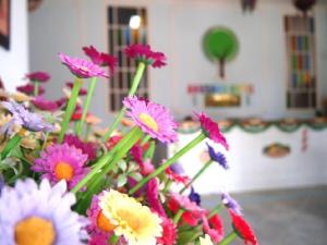 Zahrada ubytování Angsana Hotel Melaka
