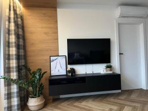 a living room with a television on a black entertainment center at Apartament Kamienna 28 z prywatną sauną in Wisła