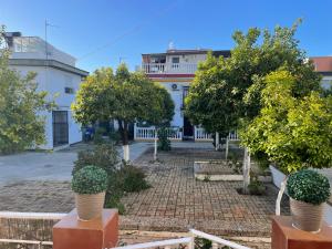 a courtyard with trees in front of a building at Choza Azahares in Santiponce