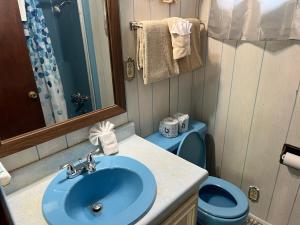 a bathroom with a blue sink and a blue toilet at River Rhapsody in Sevierville +15 photos