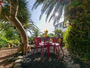 twee rode stoelen aan een tafel onder een palmboom bij Loving Strangers Hostel in Madalena