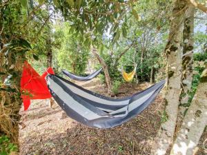twee hangmatten hangend aan bomen in een bos bij Loving Strangers Hostel in Madalena