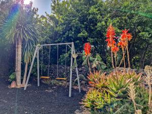 a playground in a garden with a swing at Loving Strangers Hostel in Madalena