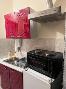a kitchen with a stove and a microwave at Cozy apartment in the center of Novi Sad! in Novi Sad