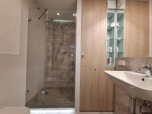 a bathroom with a shower with a sink and a toilet at TheLittlePrince 30m2 Studio OLD TOWN in Warsaw