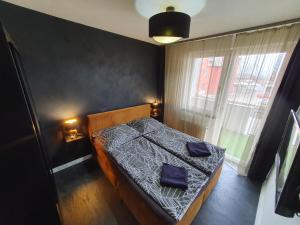 Łóżko lub łóżka w pokoju w obiekcie Black Brothers Wellness Apartments
