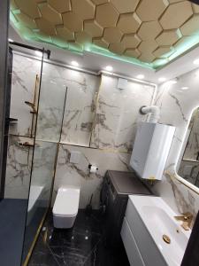 łazienka z toaletą, umywalką i lustrem w obiekcie Black Brothers Wellness Apartments w Siófoku +28 zdjęć