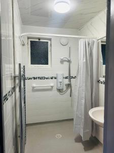 a bathroom with a shower and a sink at Apple Yard in Norwich