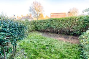 a hedge with green grass and a dirt trail at Bright Charming Apartment In Ealing in London