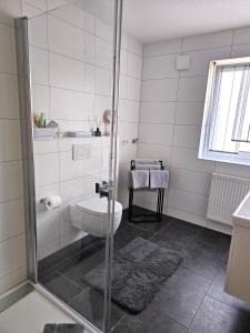 a bathroom with a shower and a toilet and a sink at MY HOME N 35/6 in Villingen-Schwenningen