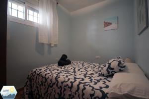 - un chat noir assis sur un lit dans une chambre dans l'établissement Sunny Álamos Beach, à Torremolinos