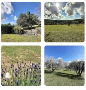 Zdjęcie z galerii obiektu CASA IL MANDORLO NEL CHIANTI w mieście Castellina in Chianti
