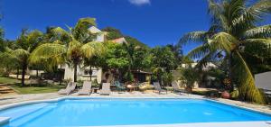 a swimming pool in front of a house with palm trees at Lakaz Del Sol - NEWLY RENOVATED modern and elegant apartments with luxurious garden, pool, barbecue and bar area in Tamarin