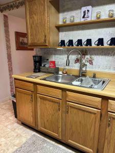 a kitchen with a stainless steel sink and wooden cabinets at Cozy, Pet-friendly Ligonier in Ligonier