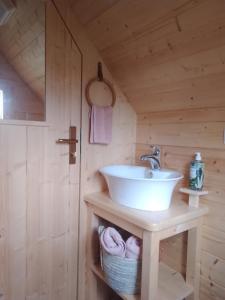 a bathroom with a sink on a wooden wall at La Halte du Canal in Luthenay-Uxeloup