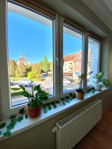 um peitoril de janela com três vasos de plantas sobre ele em Ratuszowe Serce Miasta em Mrągowo