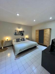 1 dormitorio con 1 cama grande y TV en Departamento centrico en corazon de Mendoza Andes España en Mendoza