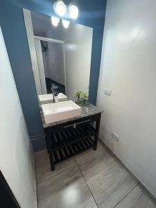 baño con lavabo y espejo grande en Departamento centrico en corazon de Mendoza Andes España en Mendoza