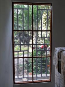 CASA CON ARBOLES FRUTALES EN EL CASERIO LA UNION TARAPOTO في تارابوتو: نافذة مطلة على حديقة