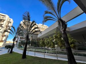 zwei Palmen vor einem Gebäude in der Unterkunft Venice Park Hplus Long Stay in Brasilia