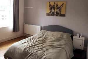 a bed in a bedroom with two horses on the wall at Contact For Best Prices, Large City Ctr 1 bed Apt, Free Parking, Garden, Bath & Shower, Wifi in Exeter