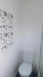 a bathroom with a toilet with a flower pattern on the wall at Budget Rooms in Fort William