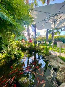 un estanque koi en un jardín con sombrilla en Hotel Combarro, en Combarro