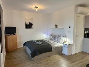 1 dormitorio con 1 cama y TV en Scamard Apartman, en Zamárdi
