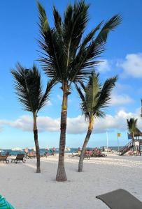 three palm trees on a beach with the ocean at Costal condo with gym and Olympic pool in Punta Cana