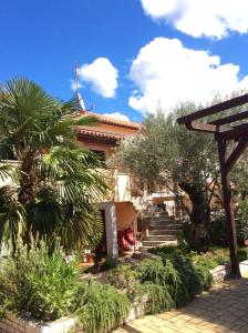 a house with a palm tree in front of it at Juli's Place in Rovinjsko Selo