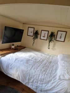 a large white bed in a room with pictures on the wall at Shepherds haven hut Near Padstow in Saint Issey