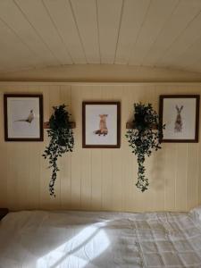 ein Schlafzimmer mit drei Bildern an der Wand und einem Bett in der Unterkunft Shepherds haven hut Near Padstow in Saint Issey