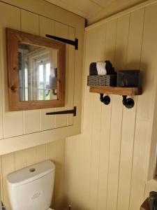 ein Badezimmer mit einem Spiegel und einem weißen WC in der Unterkunft Shepherds haven hut Near Padstow in Saint Issey