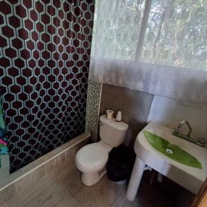 a bathroom with a toilet and a sink at Paraiso Verde in Chijoú
